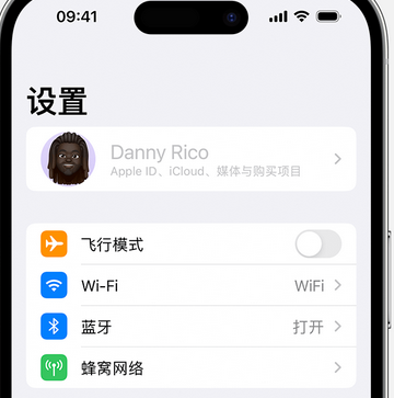 汶上appleID维修服务iPhone设置中Apple ID显示为灰色无法使用 