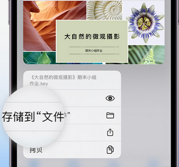 汶上apple维修中心分享iPhone文件应用中存储和找到下载文件