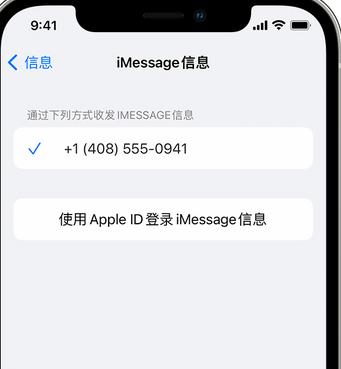 汶上apple维修iPhone上无法正常发送iMessage信息 