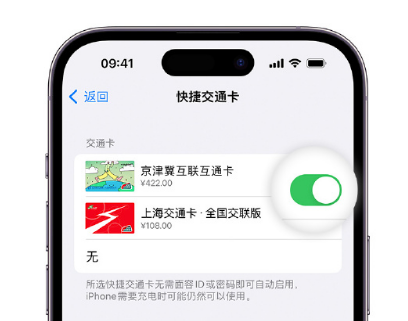 汶上apple维修点分享iPhone上更换Apple Pay快捷交通卡手绘卡面 