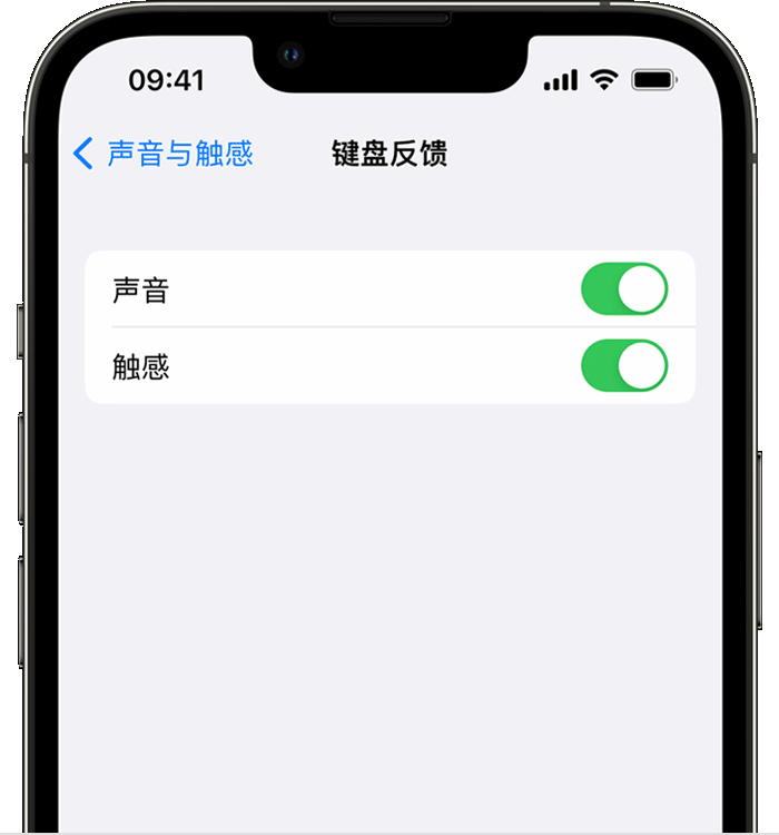 汶上苹果14维修店分享如何在 iPhone 14 机型中使用触感键盘 