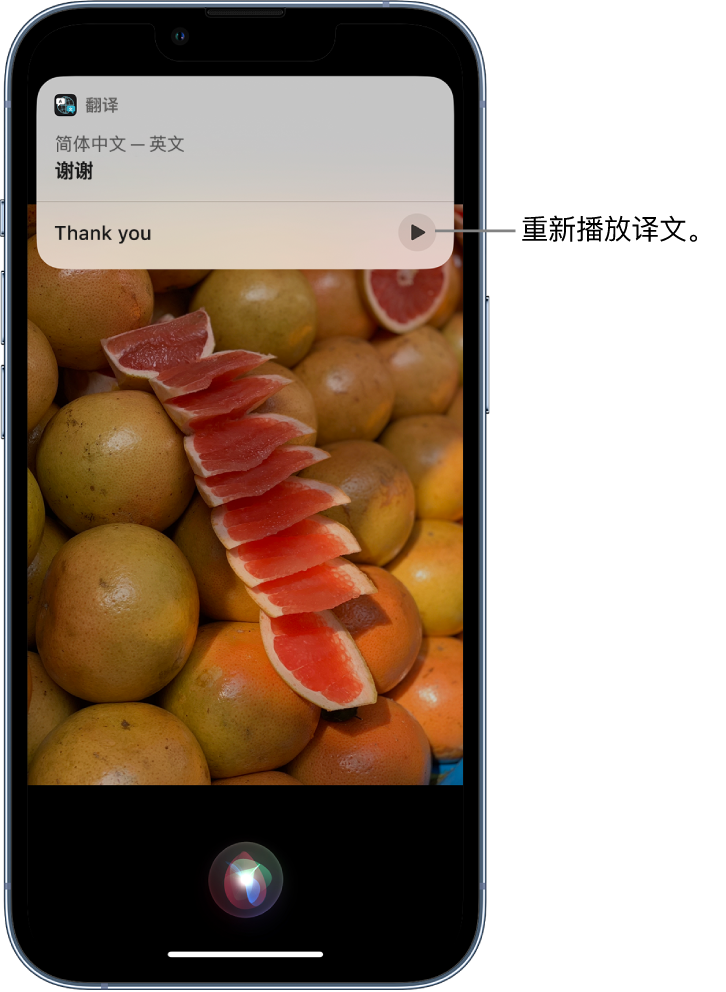 汶上苹果14维修分享 iPhone 14 机型中使用 Siri：了解 Siri 能帮你做什么 