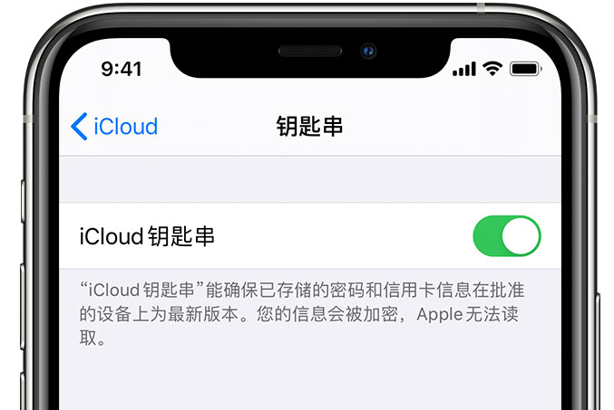 汶上苹果手机维修分享在 iPhone 上开启 iCloud 钥匙串之后会储存哪些信息 