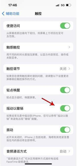 汶上苹果手机维修分享iPhone手机如何设置摇一摇删除文字 